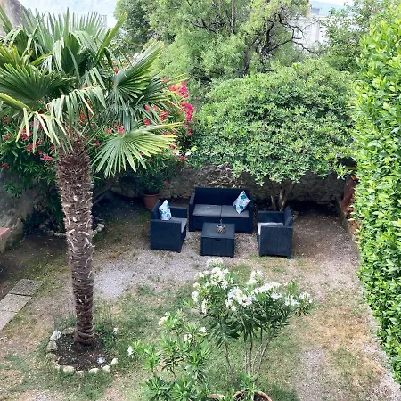 Palma